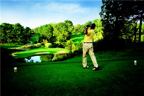 Golden Horseshoe Gold Course