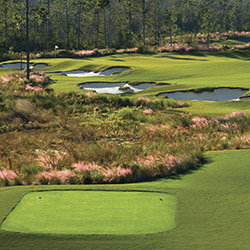Preserve GC in Biloxi