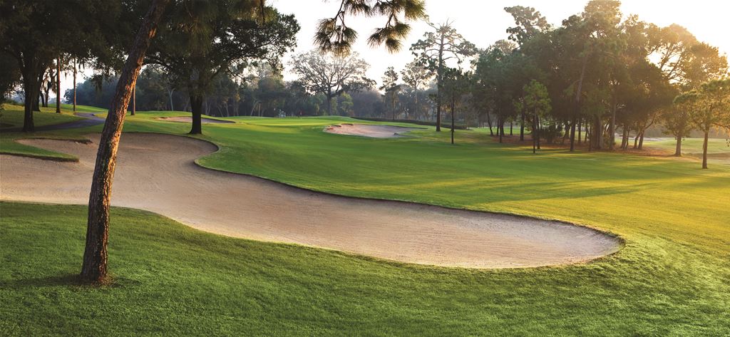 Innisbrook - Copperhead