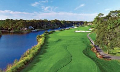 Palmetto Dunes Fazio Course