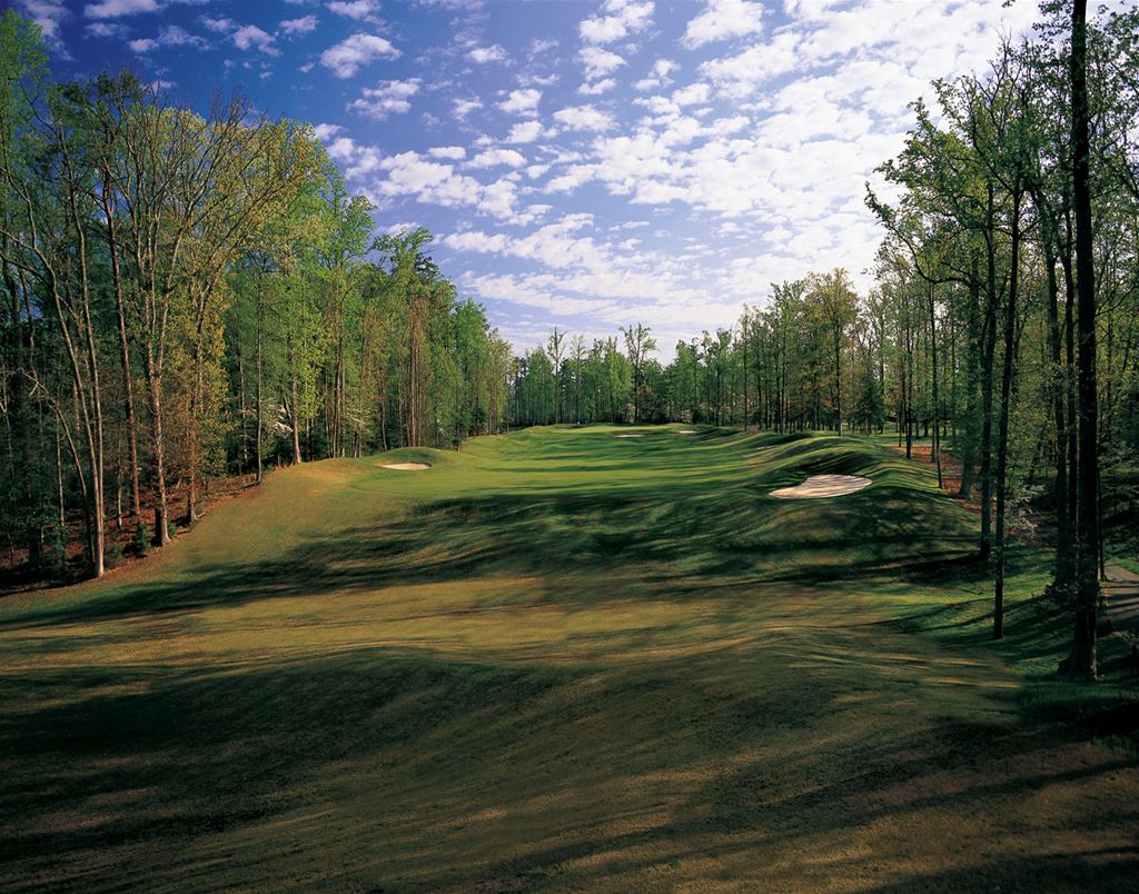 Golden Horseshoe Green Course