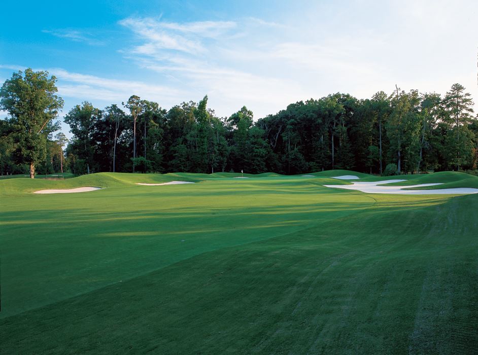 Golden Horseshoe Green Course