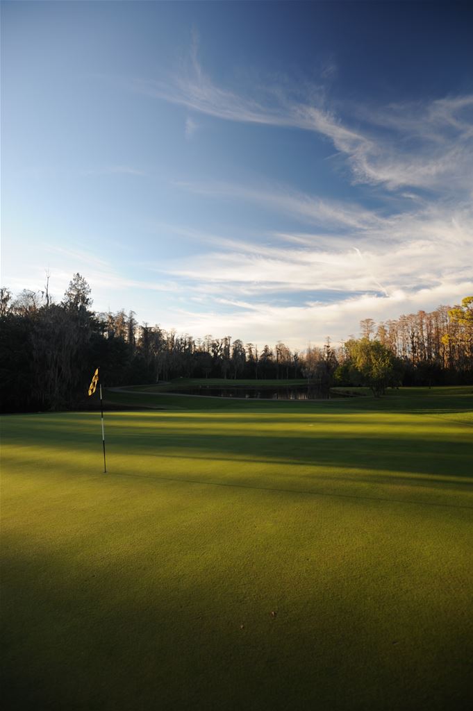 Innisbrook - Copperhead