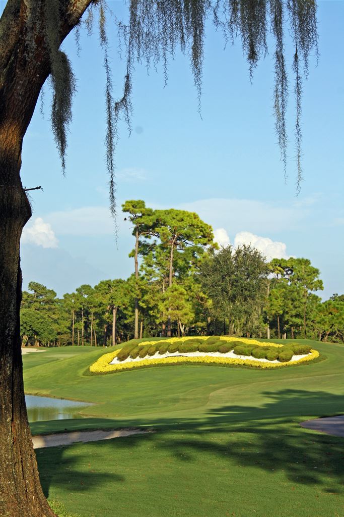 Innisbrook - Copperhead