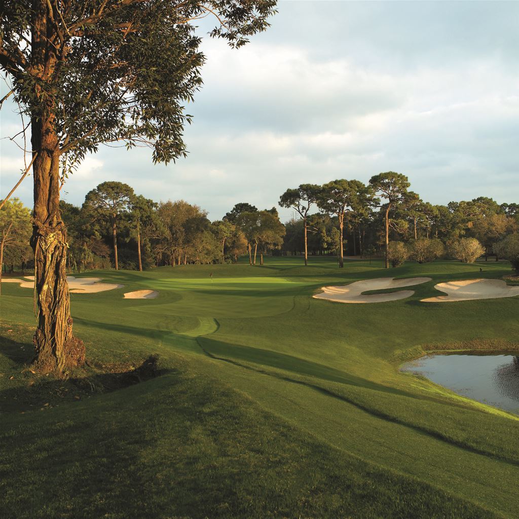 Innisbrook - Copperhead