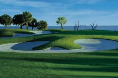 Palmetto Dunes RTJ Oceanfront Course