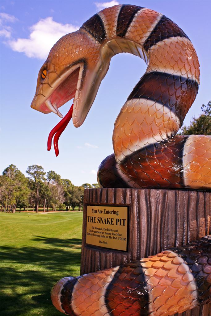 Innisbrook - Copperhead