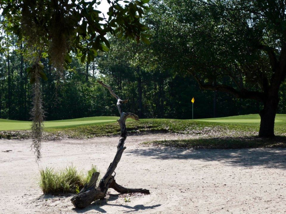 Carolina National Golf Course