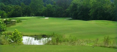 帽子 [2] RICHARDSON CATTAILS GOLF COURSE cat2.jpg