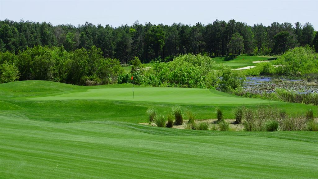 Orange County National Crooked Cat