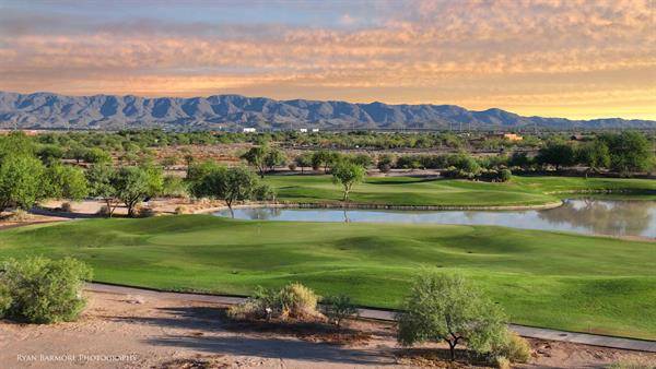 Whirlwind Golf Club Cattail