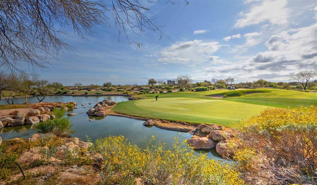 Whirlwind Golf Club Devil's Claw