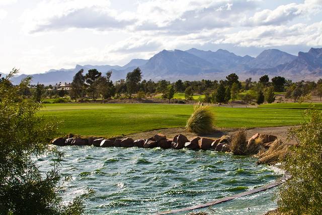 Angel Park Golf Club Palm Course