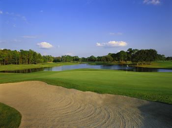 Lansbrook Golf Club in Palm Harbor, Florida